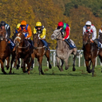 Doncaster Races .JPG