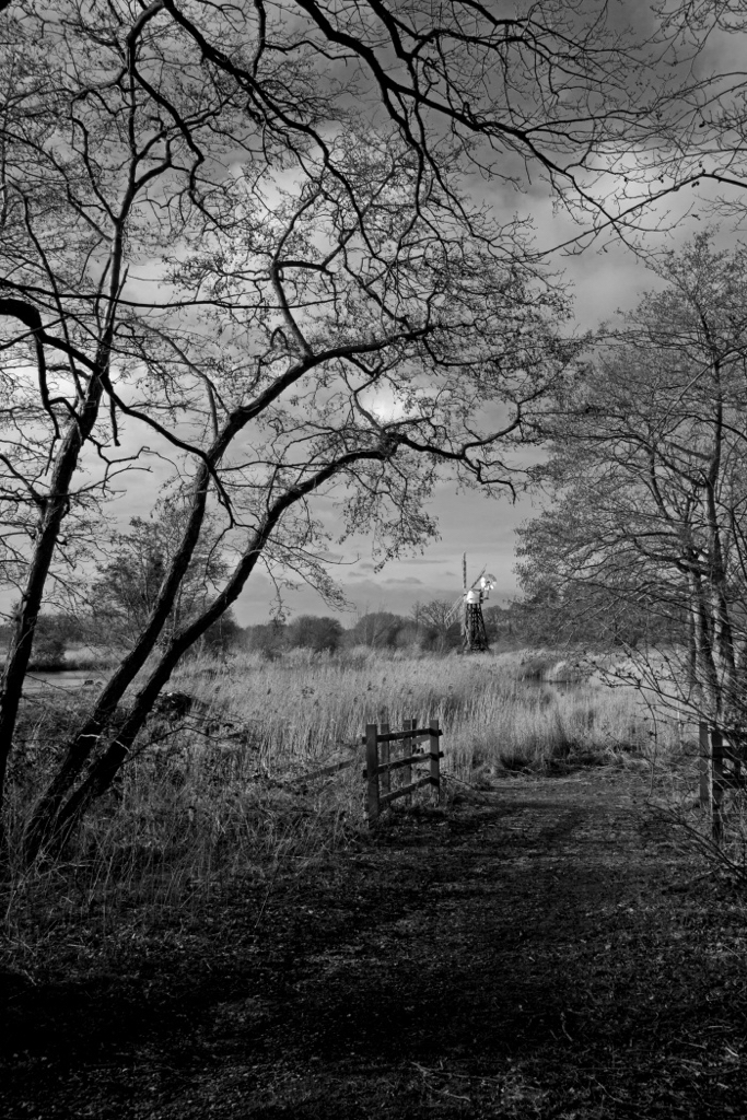 Wind Pump at How Hill.JPG